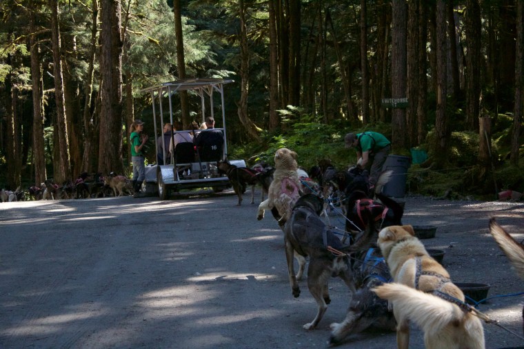 Getting ready to go.