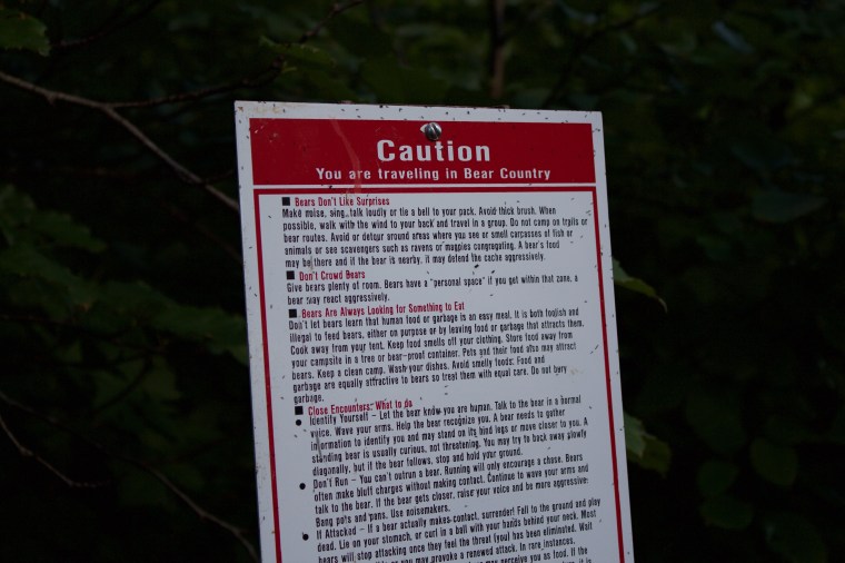 Entering Bear Country...