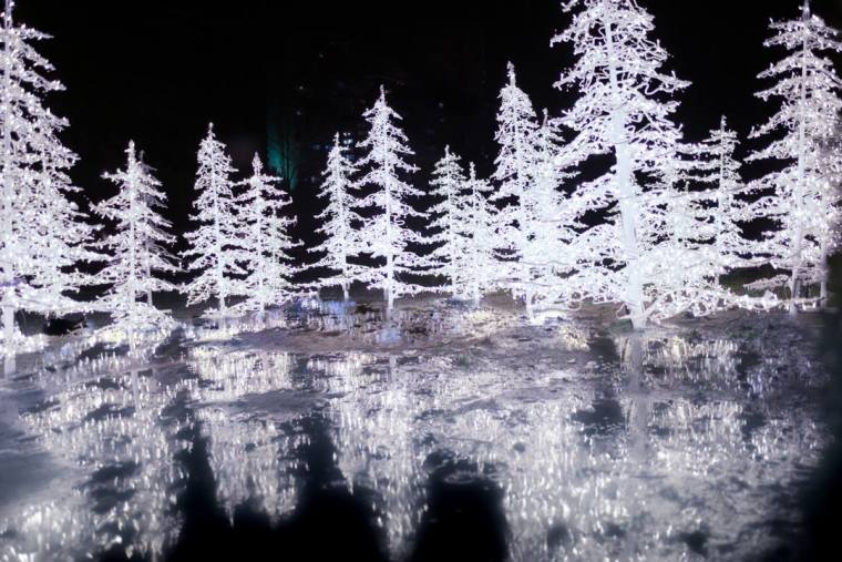 Enchant Christmas Light Maze