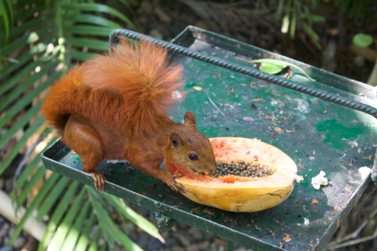 Port of Cartagena - Wildlife Park