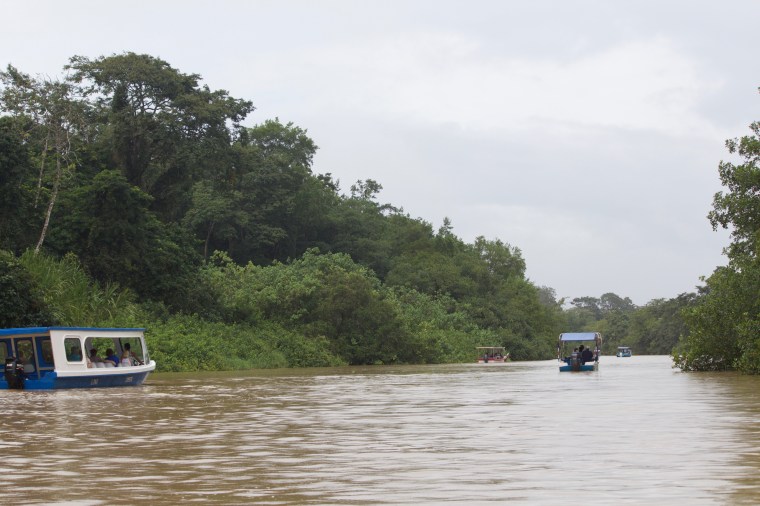 Tortuguero National Park